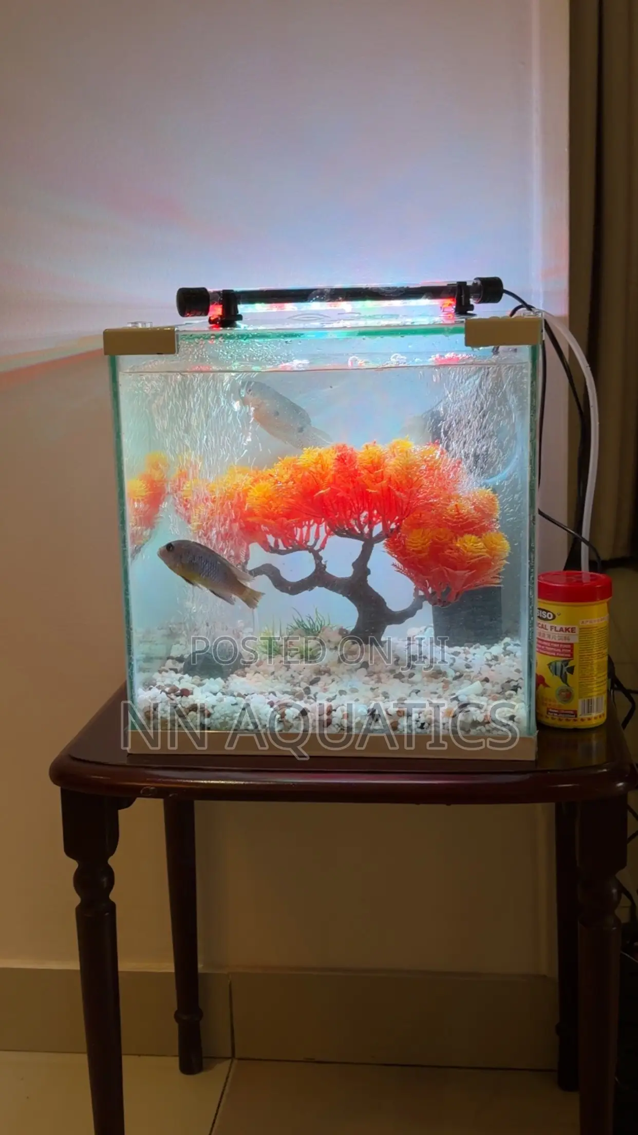 25 Litters Aquarium Tank Empty Tank With Light and Cover