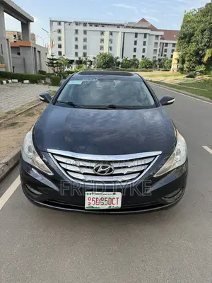 Hyundai Sonata 2013 Blue