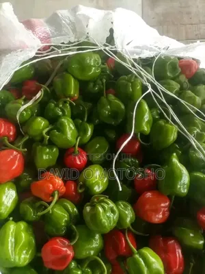 Fresh Harbanero Pepper