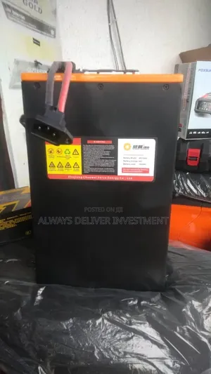 Lithium Battery Electric Bike 48v 30ahm