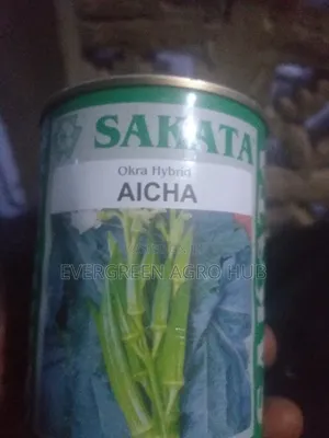 Sakata Okra (Aicha) 50g