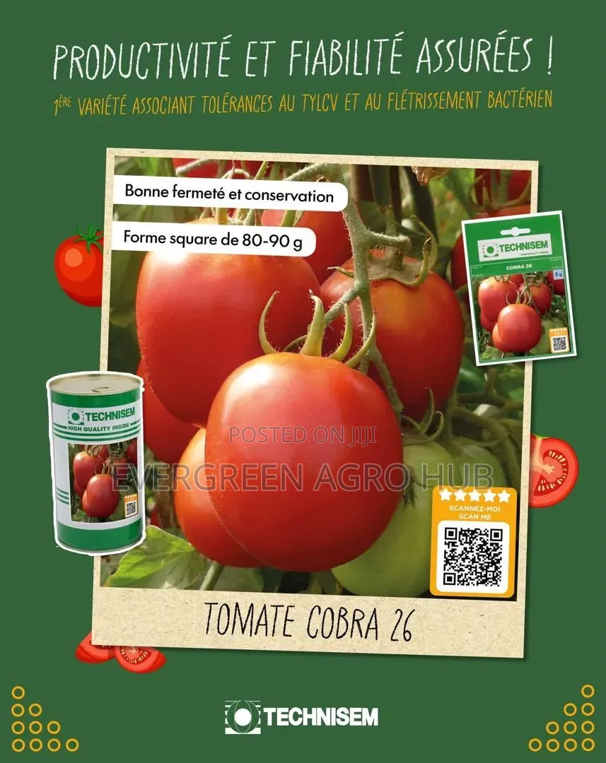 Cobra 26 Tomato Seed 5g