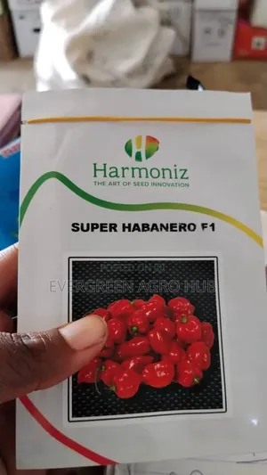 Super Habenaro F1