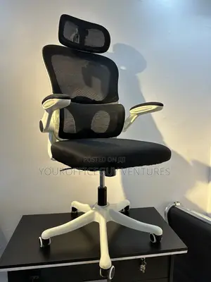 Ergonomic Mesh Office Chair