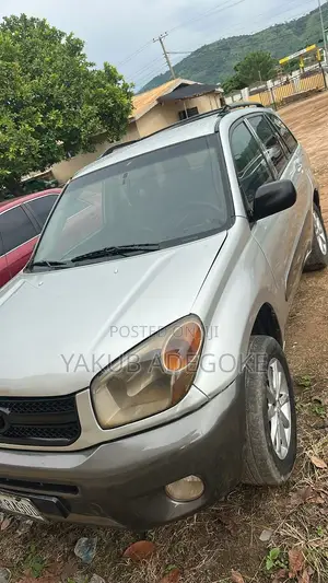 Toyota RAV4 2004 Gray