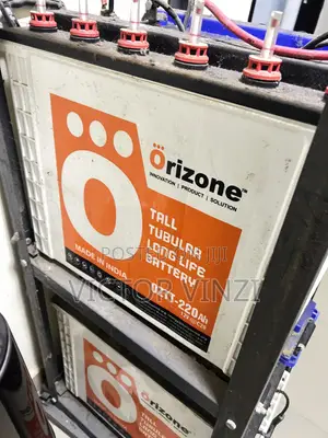 4 Tall 220AH Tubular Battery