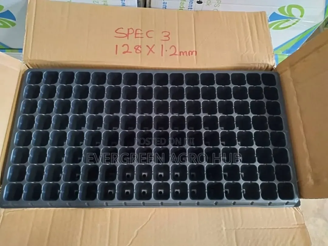 Seed Trays