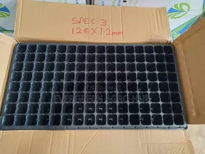 Seed Trays