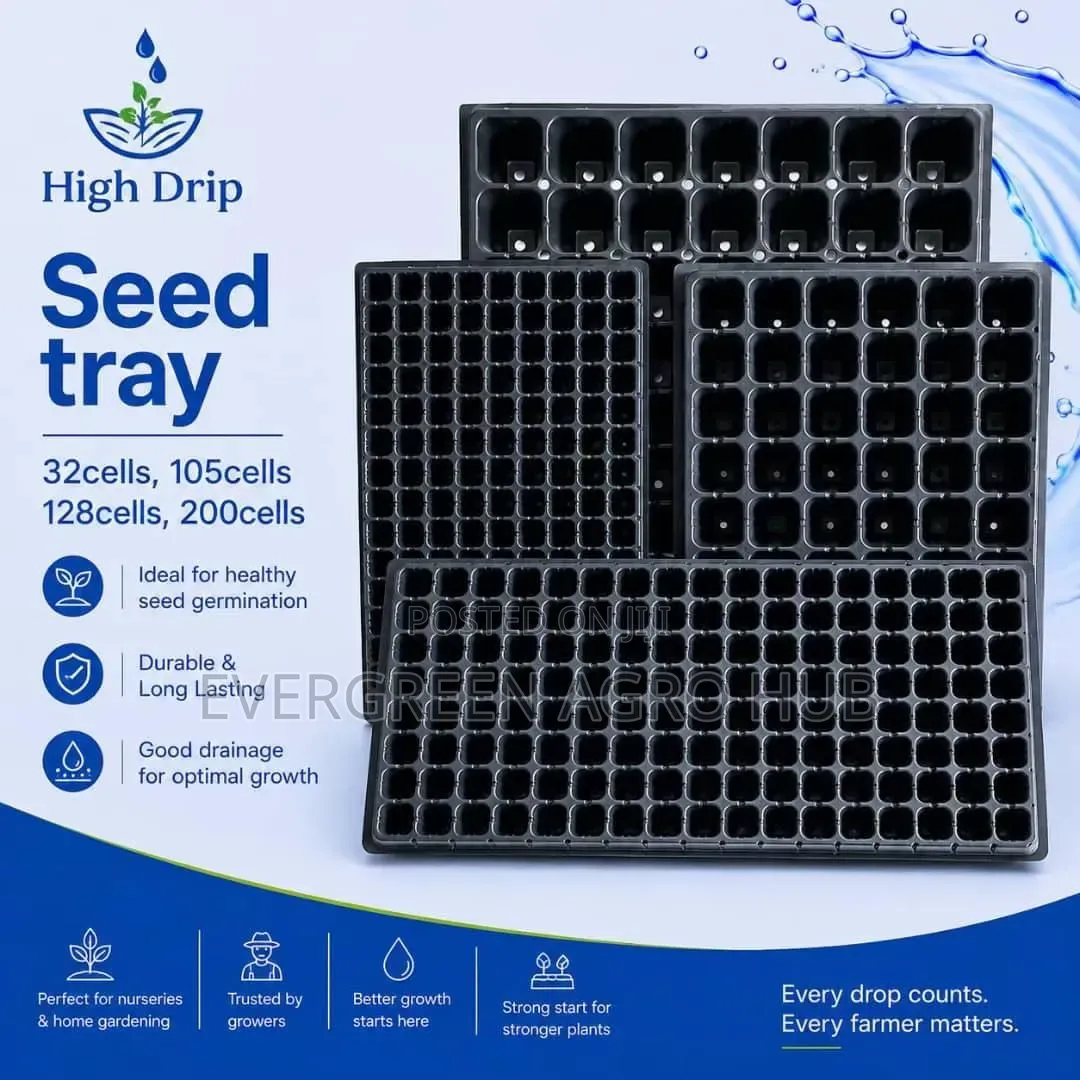 Seed Trays