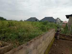 1 Plot of Land With Foundation