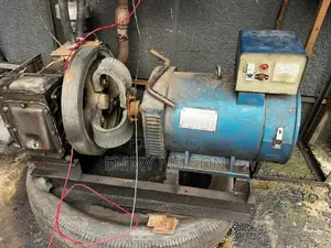 195 Diesel Generator With 7.5kva Alternator