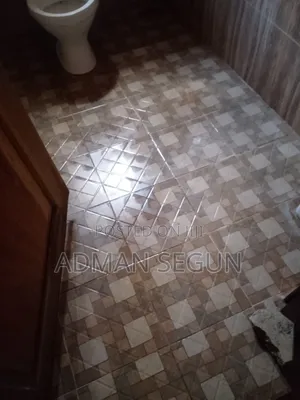 Professional Cleaning & Fumigation Services in Ibadan – AyinGlow