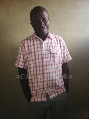 Driver CV Nwosu Cosmas
