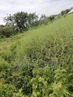 100ft by 200ft Plot of Land