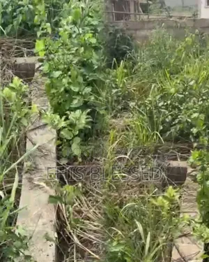 Half Plot of Land for Sale at Mowe Ofada With Foundation on It