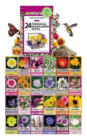 Mixed Perennial Flowers for All Seasons – 24+ Kinds