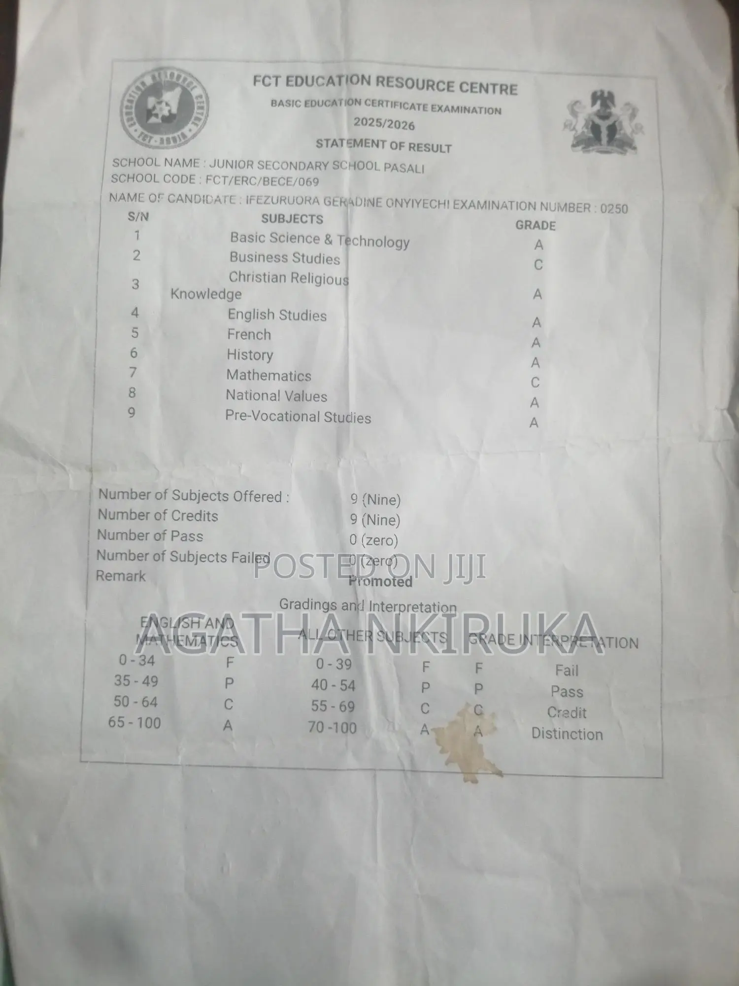 Driver CV Nwosu Cosmas