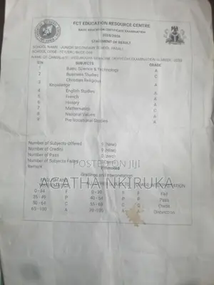 Driver CV Nwosu Cosmas