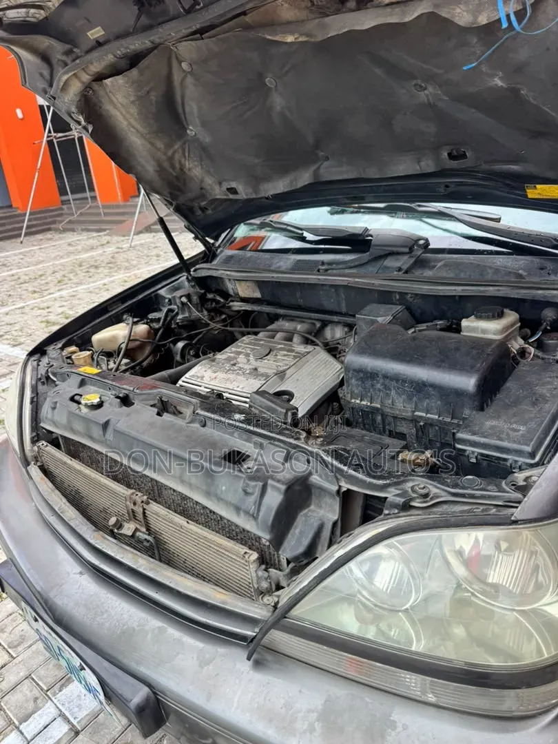 Lexus RX 300 4WD 2003 Gray
