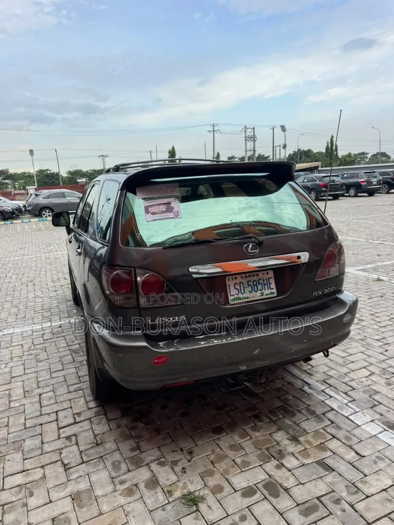 Lexus RX 300 4WD 2003 Gray