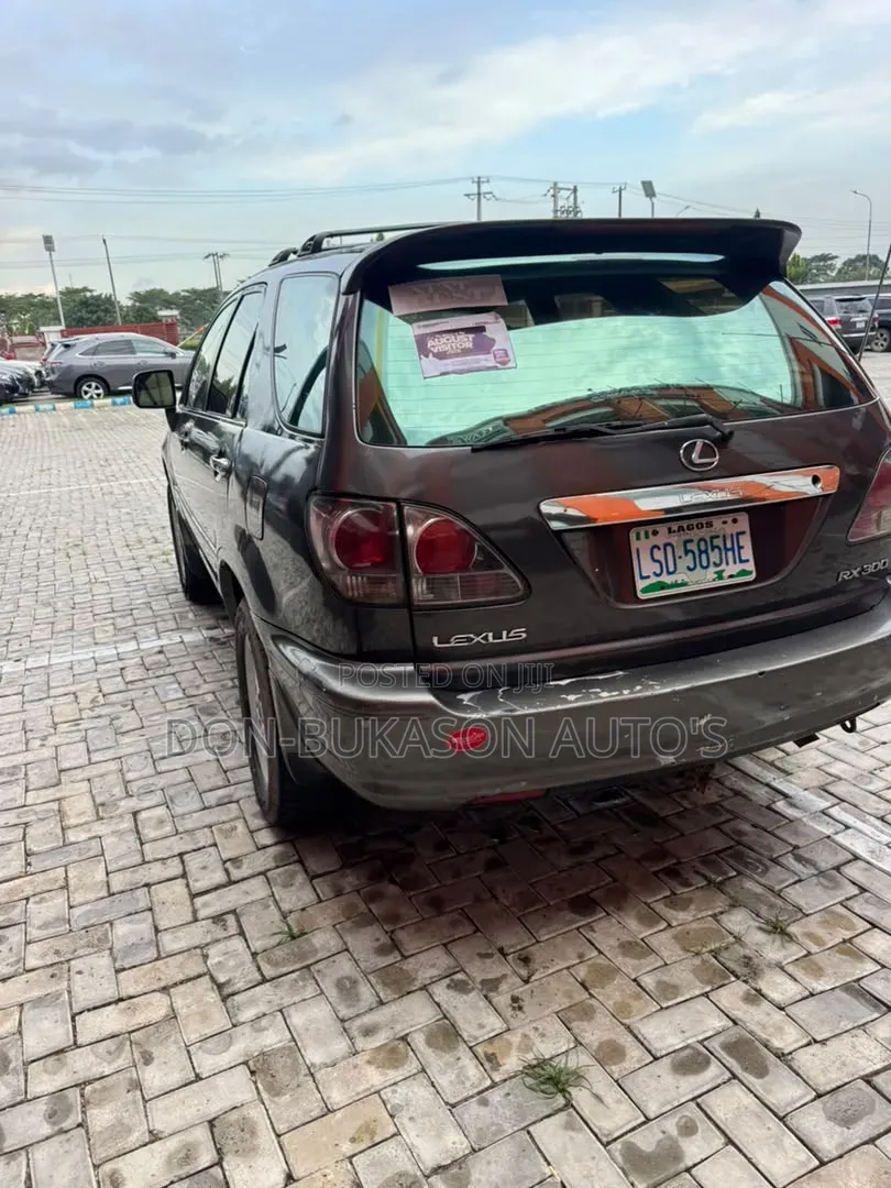 Lexus RX 300 4WD 2003 Gray