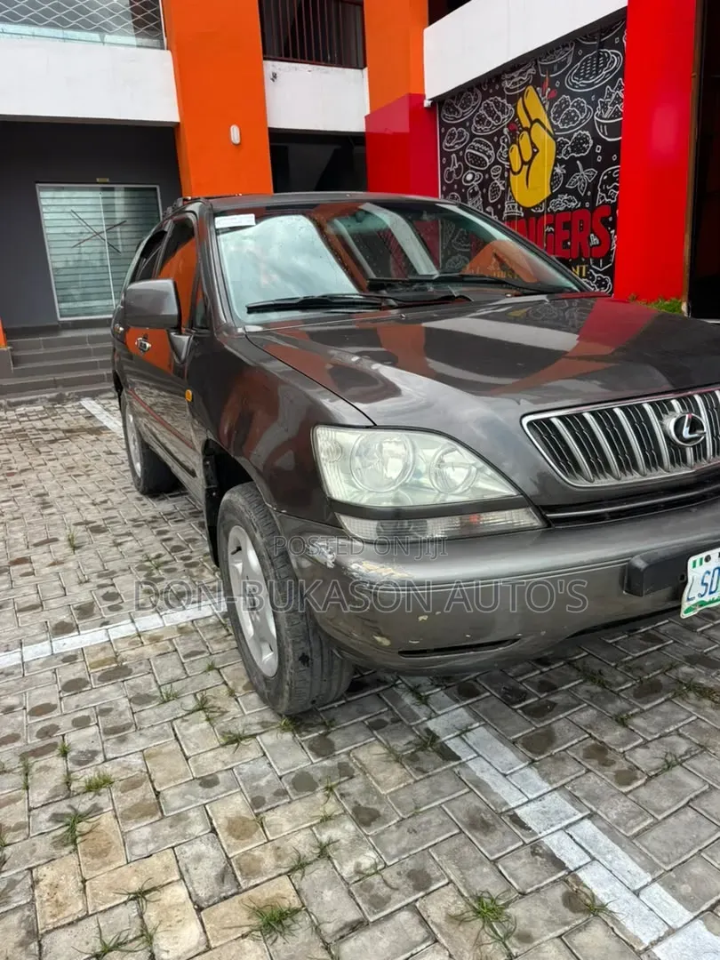 Lexus RX 300 4WD 2003 Gray