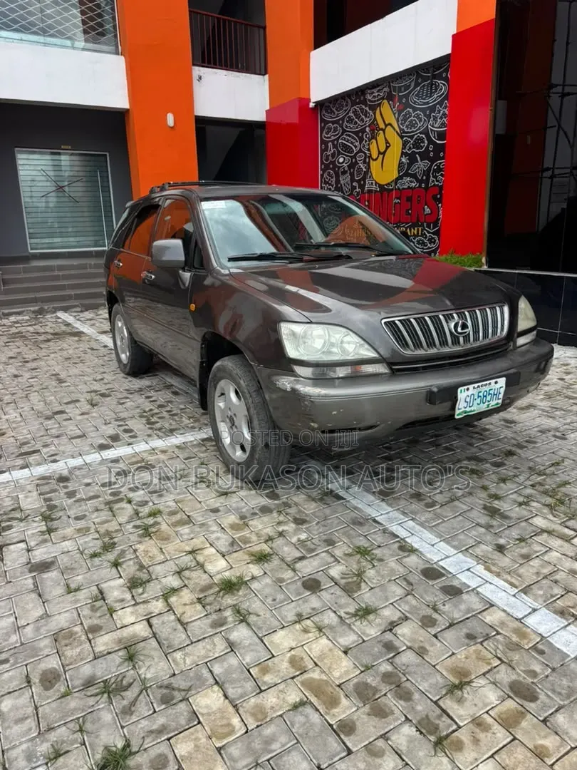 Lexus RX 300 4WD 2003 Gray