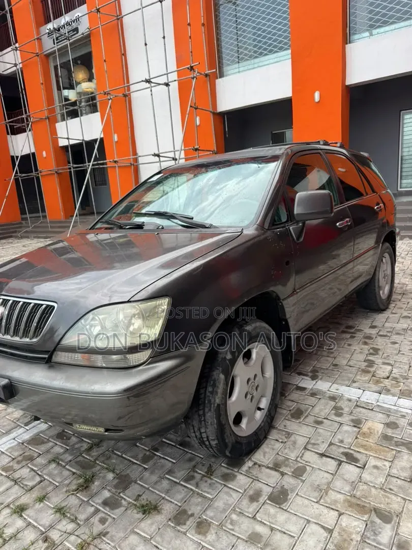 Lexus RX 300 4WD 2003 Gray