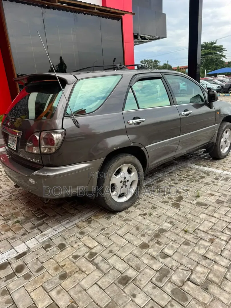 Lexus RX 300 4WD 2003 Gray