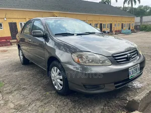 Toyota Corolla LE 2007 Gray