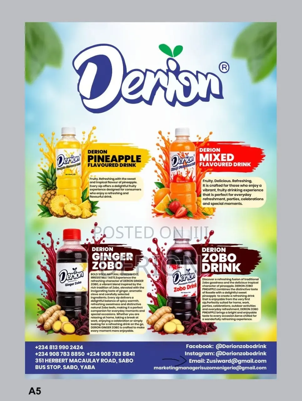Derion Ginger Zobo Drinks