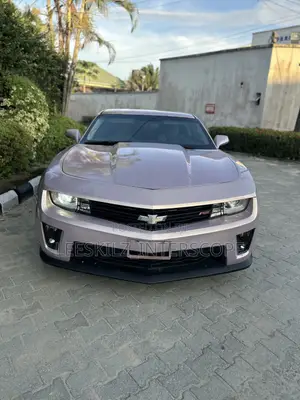 Chevrolet Camaro 2014 Pink