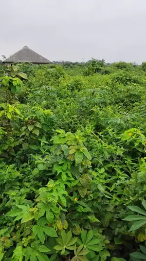 Half Plot of Land for Sale at Elelede Iraye Oke Epe 3million Dry Land