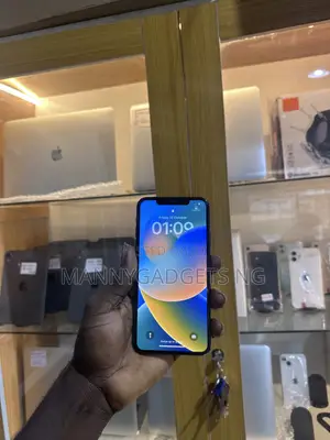 Apple iPhone 11 Pro Max 256 GB Graphite