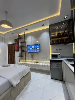 Furnished Studio Apartment in Ayo Babatunde, Victoria Island Extension