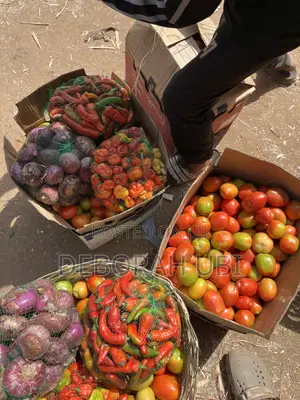 Basket Jos UTC Tomatoes