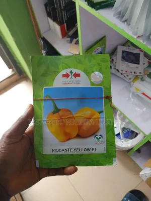 PIQUANTE Yellow