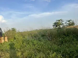Virgin Land