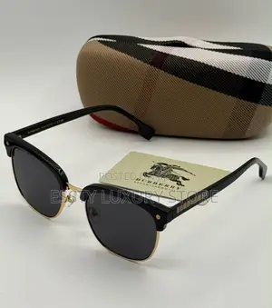 Original Quality Luxury Burberry Men Sunglasses