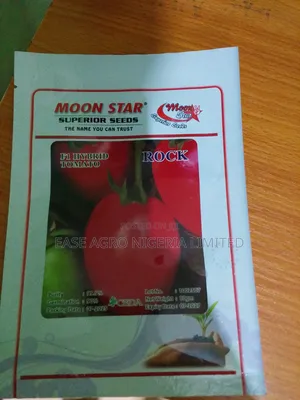 Rock F1 Hybrid Tomato