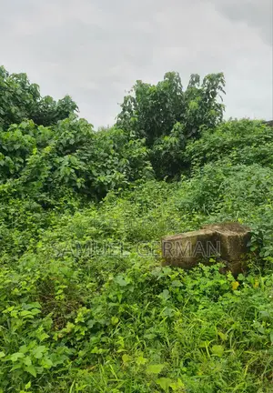 Land 100ft by 50ft