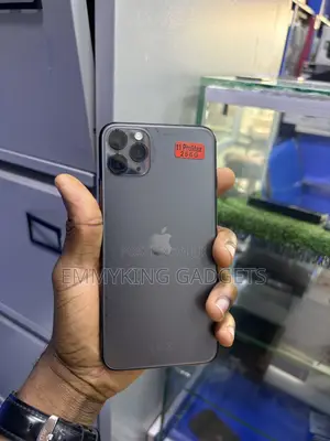 Apple iPhone 11 Pro Max 256 GB Black