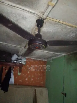 Ceiling Fan