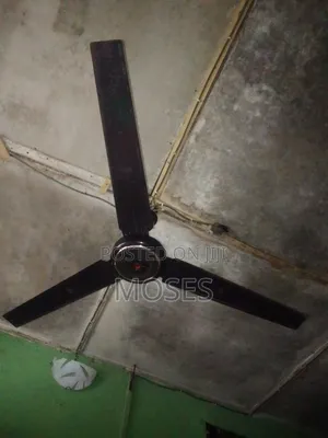 Ceiling Fan