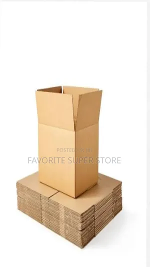 Large Moving Carton
