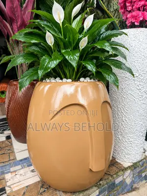 Golden Elegance Face Vase With Peace Lily