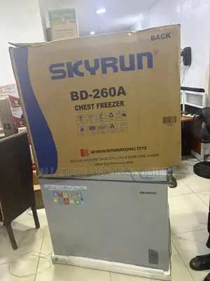 SKYRUN BD-260A Freezer for Food Shop Owners