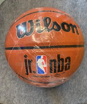Wilson Basketball