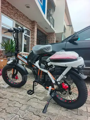 Electrical Bike