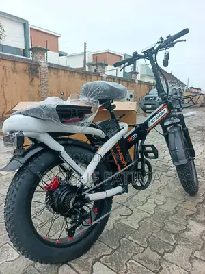 Electrical Bike